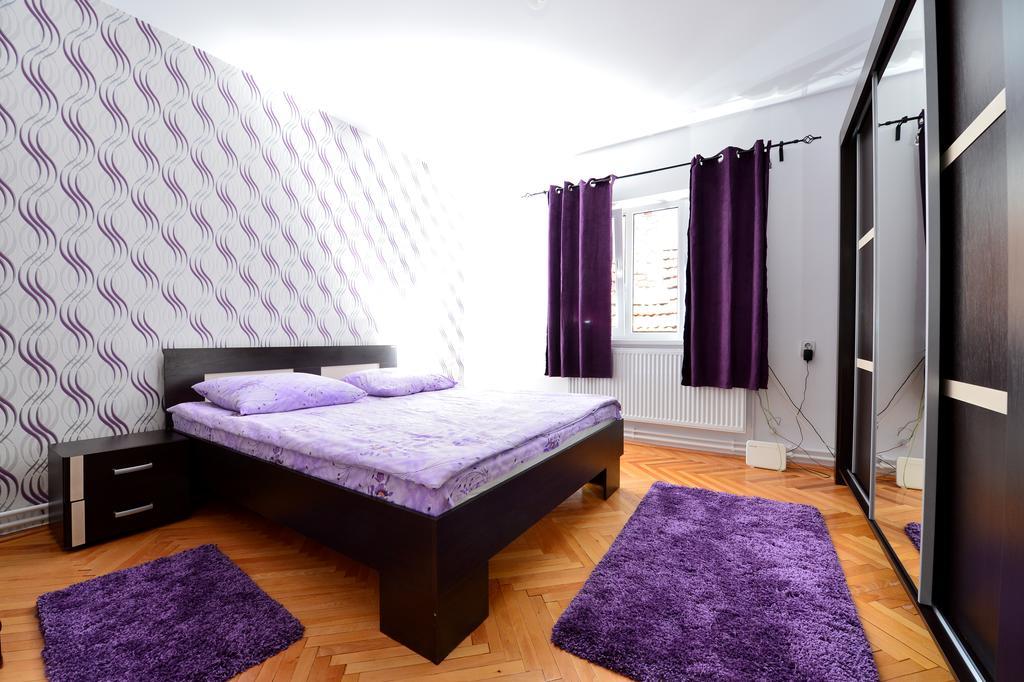 Casa Vio Hotel Haţeg Buitenkant foto