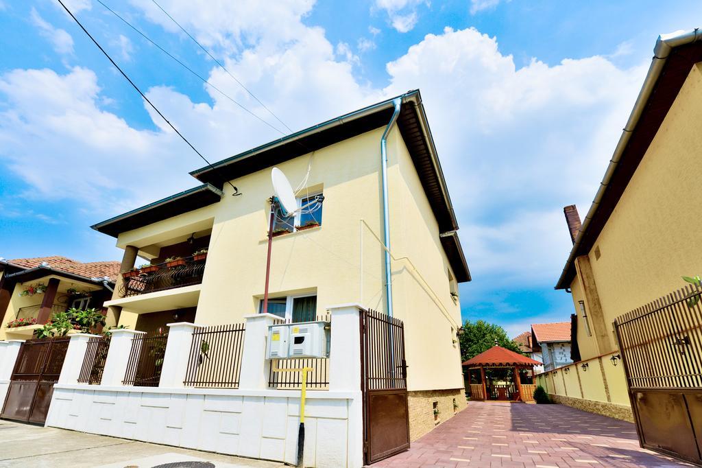 Casa Vio Hotel Haţeg Buitenkant foto
